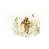 阿克巴大帝6件套